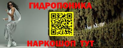мдпв Можга